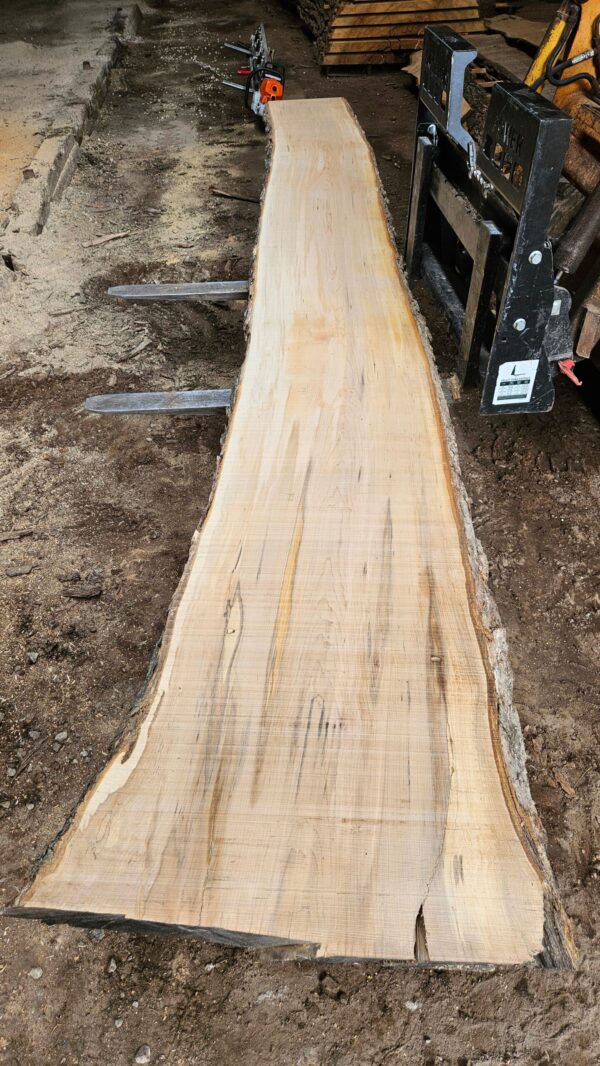 HM00009_1.jpg Sugar Maple Live Edge Slab 199"x23"-37"x2.5"