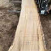 HM00009_3.jpg Sugar Maple Live Edge Slab 199"x23"-37"x2.5"