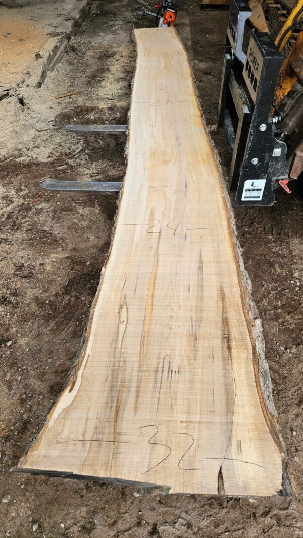 HM00009_3.jpg Sugar Maple Live Edge Slab 199"x23"-37"x2.5"