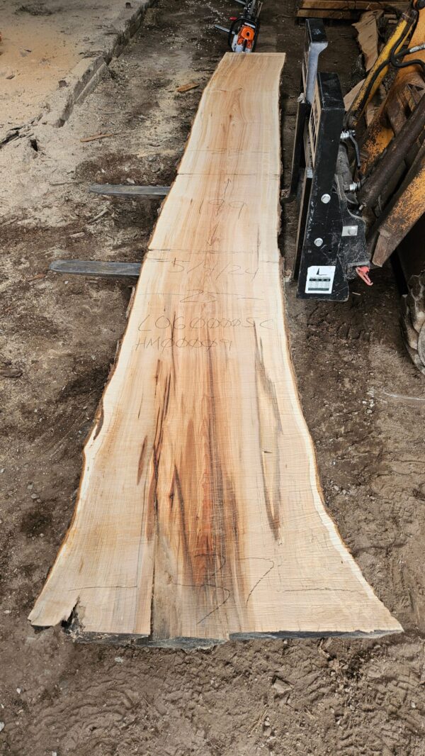 HM00009_5.jpg Sugar Maple Live Edge Slab 199"x23"-37"x2.5"