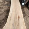 HM00010_1.jpg Sugar Maple Live Edge Slab 196"x22"-38"x2.75"