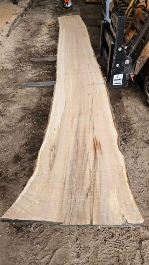 HM00010_1.jpg Sugar Maple Live Edge Slab 196"x22"-38"x2.75"