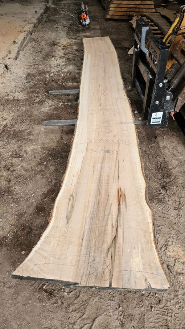 HM00010_2.jpg Sugar Maple Live Edge Slab 196"x22"-38"x2.75"