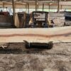 HM00010_3.jpg Sugar Maple Live Edge Slab 196"x22"-38"x2.75"