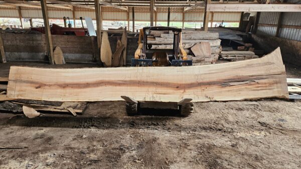 HM00010_3.jpg Sugar Maple Live Edge Slab 196"x22"-38"x2.75"
