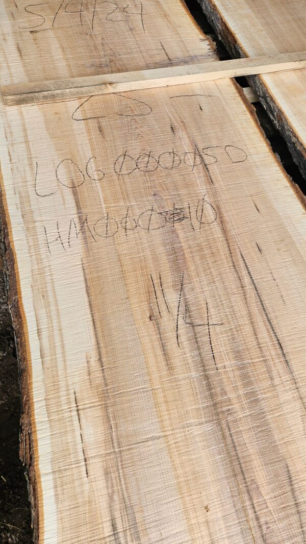HM00010_4.jpg Sugar Maple Live Edge Slab 196"x22"-38"x2.75"