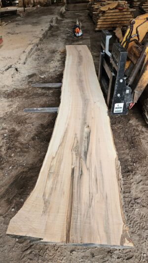 HM00011_1.jpg Sugar Maple Live Edge Slab 197"x22"-34"x2.5"