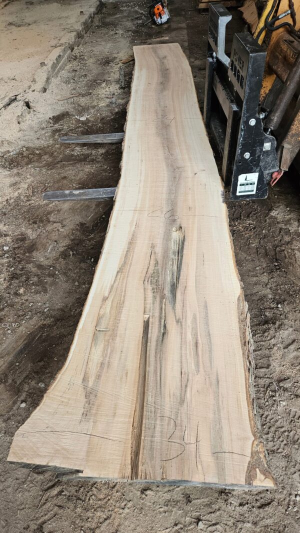 HM00011_2.jpg Sugar Maple Live Edge Slab 197"x22"-34"x2.5"