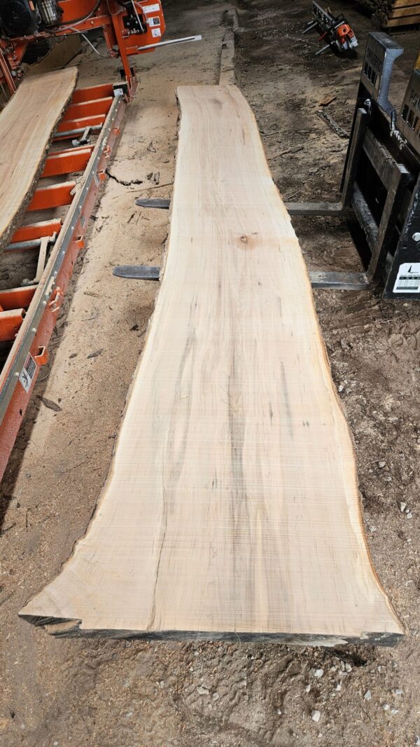 HM00012_1.jpg Sugar Maple Live Edge Slab 197"x22"-34"x2.5"
