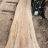 HM00012_4.jpg Sugar Maple Live Edge Slab 197"x22"-34"x2.5"