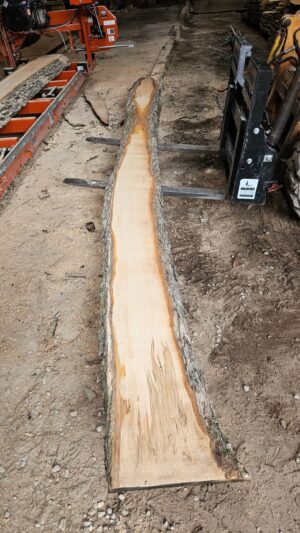 HM00013_1.jpg Sugar Maple Live Edge Slab 198"x11"-18"x2"
