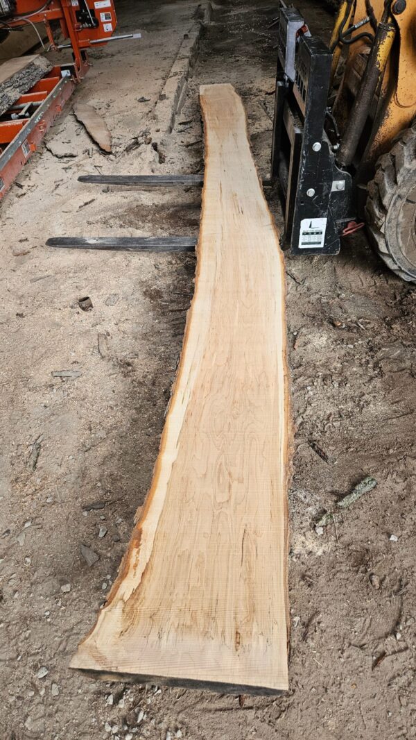 HM00013_2.jpg Sugar Maple Live Edge Slab 198"x11"-18"x2"