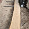 HM00013_3.jpg Sugar Maple Live Edge Slab 198"x11"-18"x2"