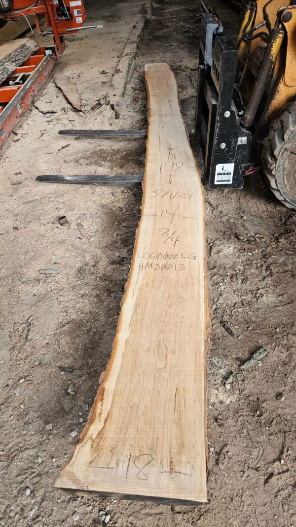 HM00013_3.jpg Sugar Maple Live Edge Slab 198"x11"-18"x2"