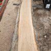 HM00014_1.jpg Sugar Maple Live Edge Slab 197"x16"-27"x2.25"