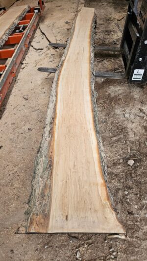 HM00014_1.jpg Sugar Maple Live Edge Slab 197"x16"-27"x2.25"