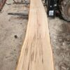 HM00014_3.jpg Sugar Maple Live Edge Slab 197"x16"-27"x2.25"