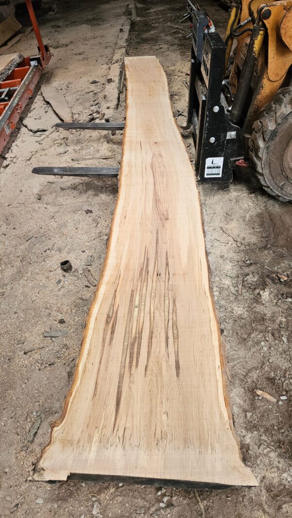 HM00014_3.jpg Sugar Maple Live Edge Slab 197"x16"-27"x2.25"