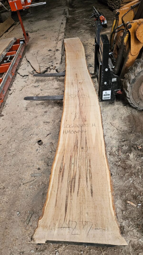 HM00014_4.jpg Sugar Maple Live Edge Slab 197"x16"-27"x2.25"