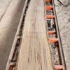 HM00015_2.jpg Sugar Maple Live Edge Slab 198"x20"-31"x2.25"