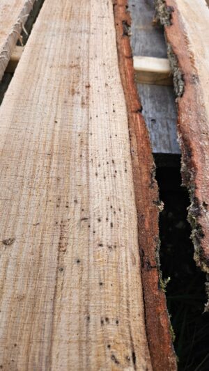 LiveEdgeBuggyQuartersawnWhiteOakTrim_2.jpg Live Edge Buggy Quartersawn White Oak Trim