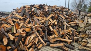 Maple-Hard_1.jpg Hard Maple Firewood - Split