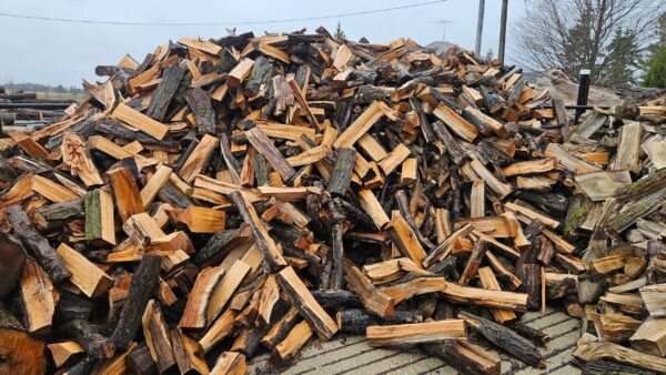 Maple-Hard_1.jpg Hard Maple Firewood - Split