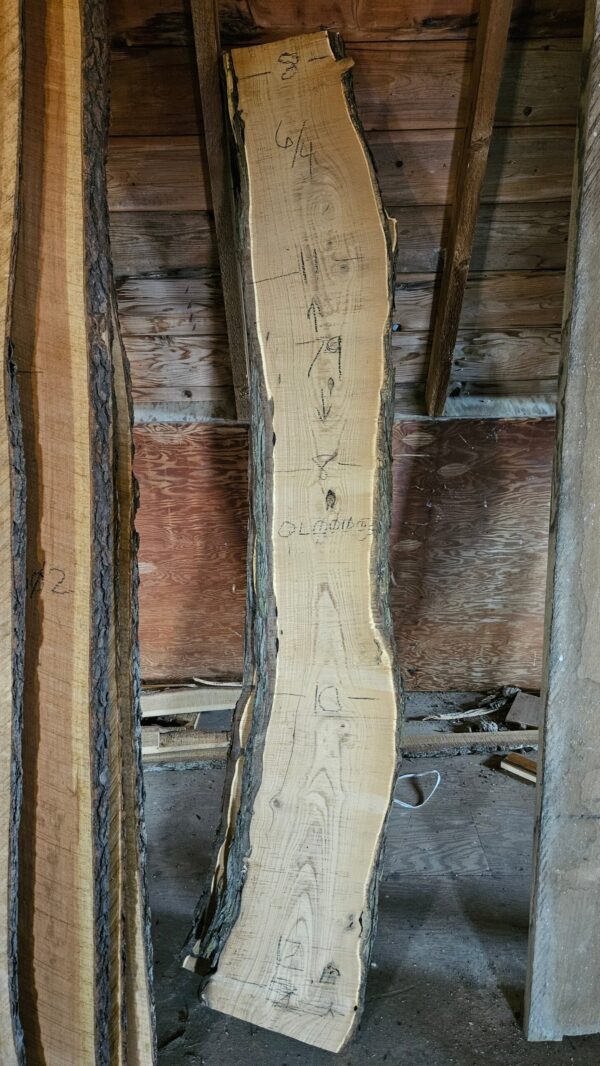 OL00003_1.jpg Russian Olive Live Edge Slab 79"x8"-12"x1.5"