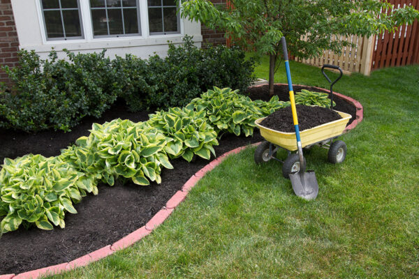 Premium-Black-Mulch-landscape.jpg Premium Triple-Shredded Mulch