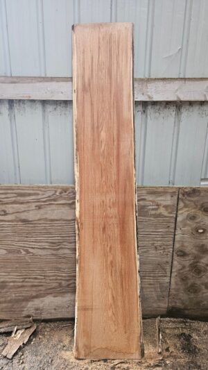 RO00011_1.jpg Pin Oak 83"x12"-15"x1"