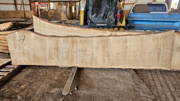 WO00006_1.jpg White Oak Slab 140"x25"-35"x2"