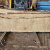 White Oak Slab 139"x20"-28"x2.5"