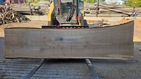 WO00008_3.jpg White Oak Slab 141"x31"-44"x2.75"