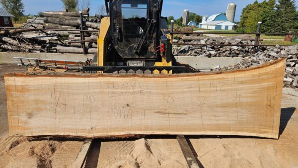 White Oak Slab 142"x30"-45"x2.75"