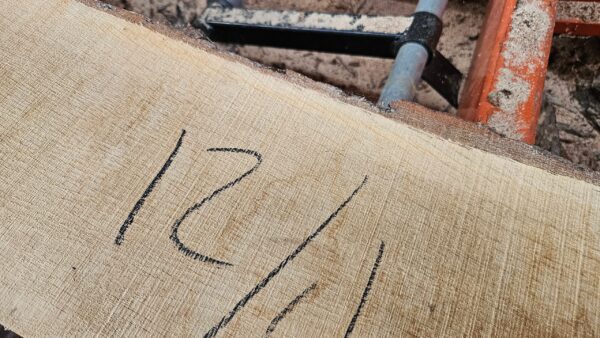 WO00011_1.jpg Bur Oak Mantle 104"x8"-13"x3"