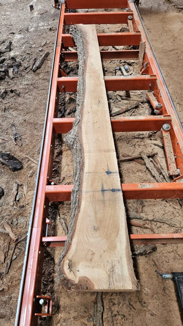 WO00011_4.jpg Bur Oak Mantle 104"x8"-13"x3"