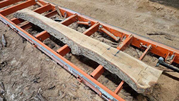 WO00011_5.jpg Bur Oak Mantle 104"x8"-13"x3"