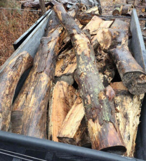 firewood-logs.jpg Firewood Logs