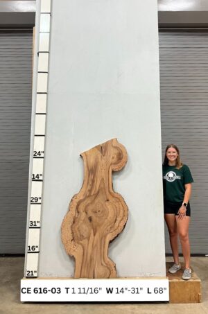 live-edge-cedar-elm-wood-slab-front-ce-616-03.jpg Live Edge Cedar Elm Slab CE 616-03