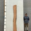 live-edge-mesquite-wood-slab-back-me-306-01.jpg Live Edge Mesquite Slab ME 306-01