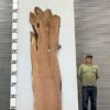 live-edge-mesquite-wood-slab-back-me-616-09.jpg Live Edge Mesquite Slab ME 616-09
