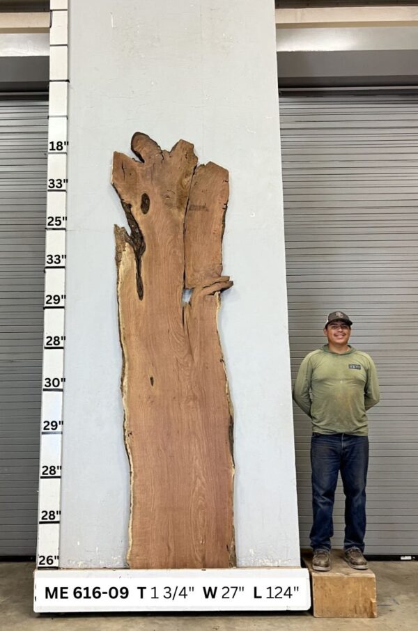 live-edge-mesquite-wood-slab-back-me-616-09.jpg Live Edge Mesquite Slab ME 616-09
