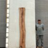 live-edge-mesquite-wood-slab-front-me-302-01.jpg Live Edge Mesquite Slab ME 302-01