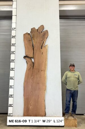 live-edge-mesquite-wood-slab-front-me-616-09.jpg Live Edge Mesquite Slab ME 616-09