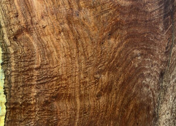 live-edge-mesquite-wood-slab-grain-detail-me-187-01.jpg Live Edge Mesquite Slab ME 187-01