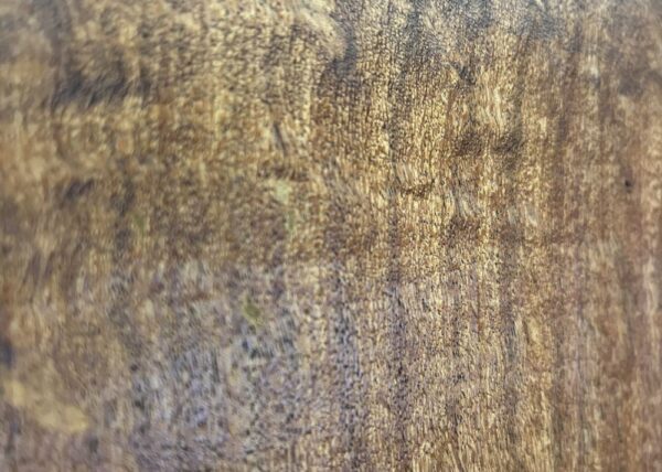 live-edge-mesquite-wood-slab-grain-detail-me-616-09.jpg Live Edge Mesquite Slab ME 616-09