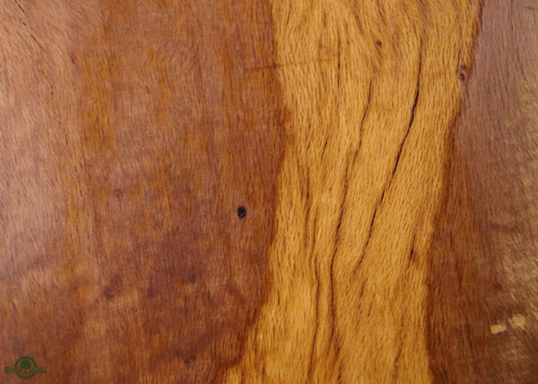 live-edge-oak-slab-detail-lo-590-01.jpg Live Edge Live Oak Slab LO 590-01