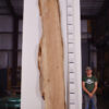 live-edge-pecan-wood-slab-back-pe-000-01.jpg Live Edge Pecan Slab PE 000-01