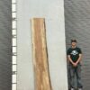 live-edge-pecan-wood-slab-back-pe-004-01.jpg Live Edge Pecan Slab PE 004-01
