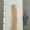 live-edge-pecan-wood-slab-back-pe-005-01-1.jpg Live Edge Pecan Slab PE 005-01